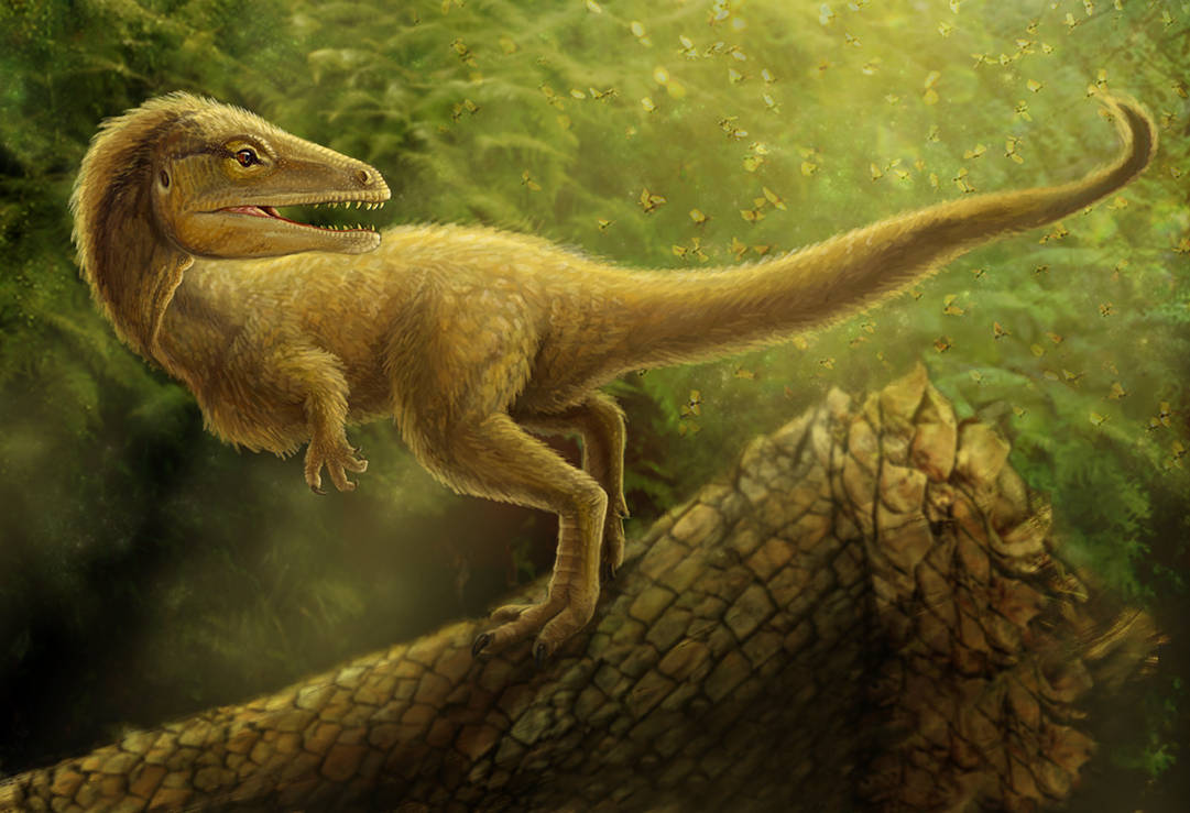 Sciurumimus albersdoerferi by Viergacht