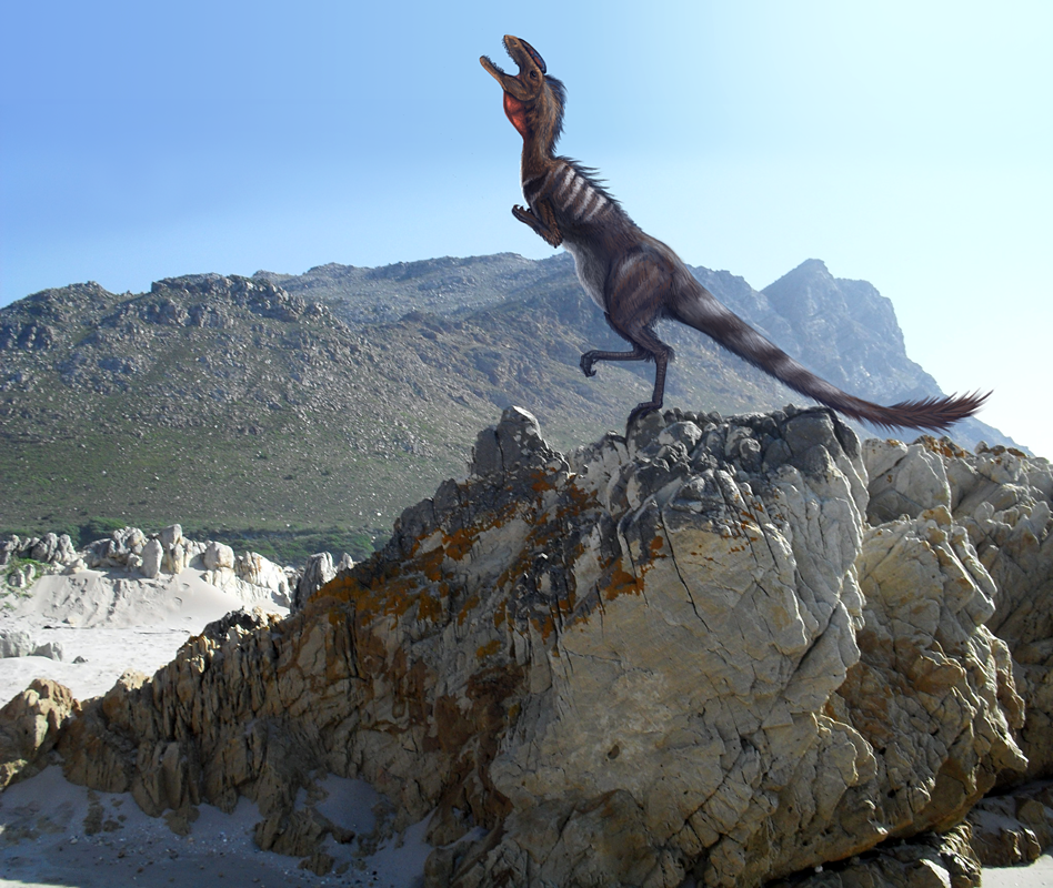 Megapnosaurus aka. Syntarsus by Viergacht