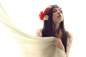 cold is coming by collien