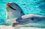 Playmates by jenniferstuber