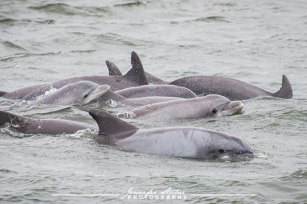 Family by jenniferstuber