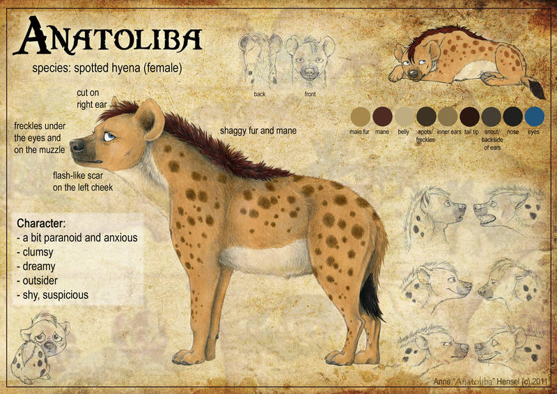Anatoliba Reference Sheet by Anatoliba