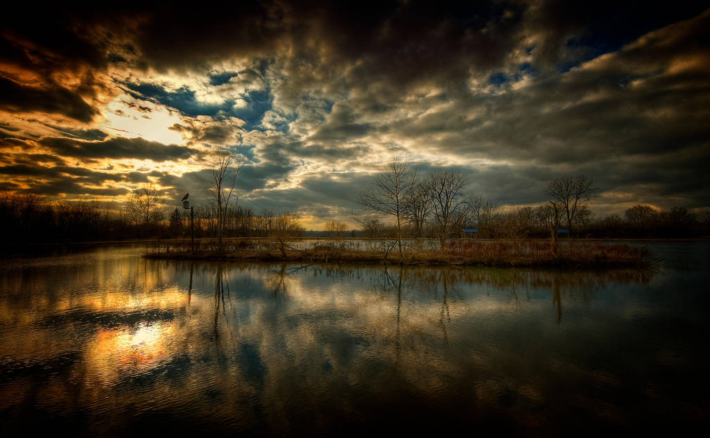 The Island by lowapproach