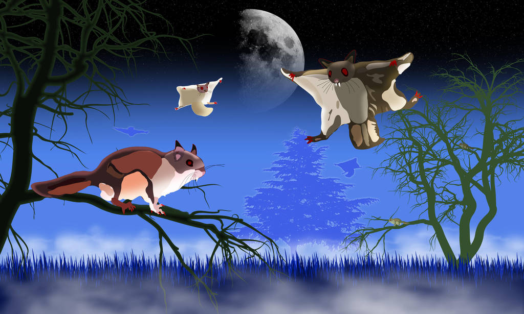 The Flying Squirrels of Nosferatu by jonmaas