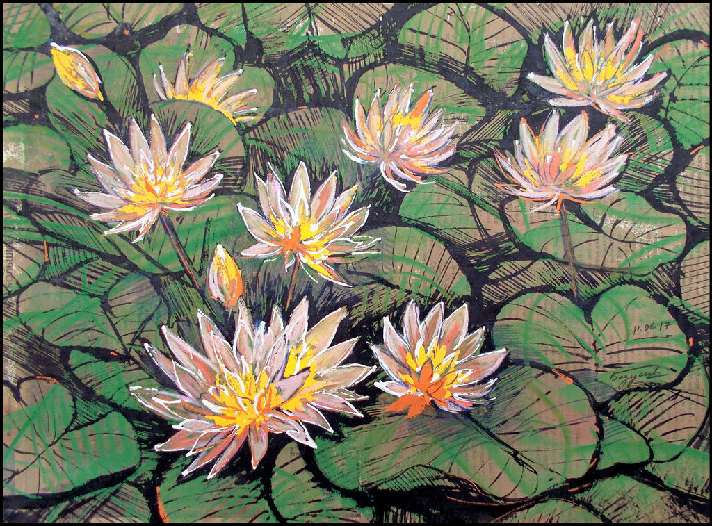 PINK WATER-LILIES by Badusev