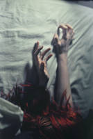 Holding On by TheFoxAndTheRaven