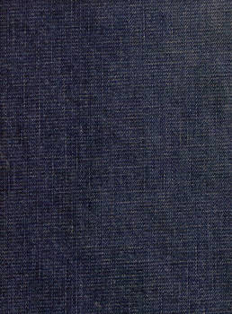 Blue Jean Clothing Texture by Enchantedgal-Stock