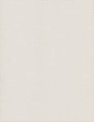 Canvas Texture White Paper by Enchantedgal-Stock