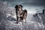 Winter by chipset