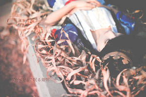 Marchen Dreaming of my prince by kotanimomo