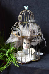 Time in a Gilded Cage by meagwen