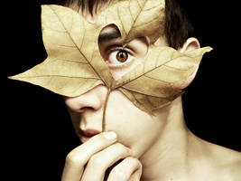 autumn love by denisbutorac