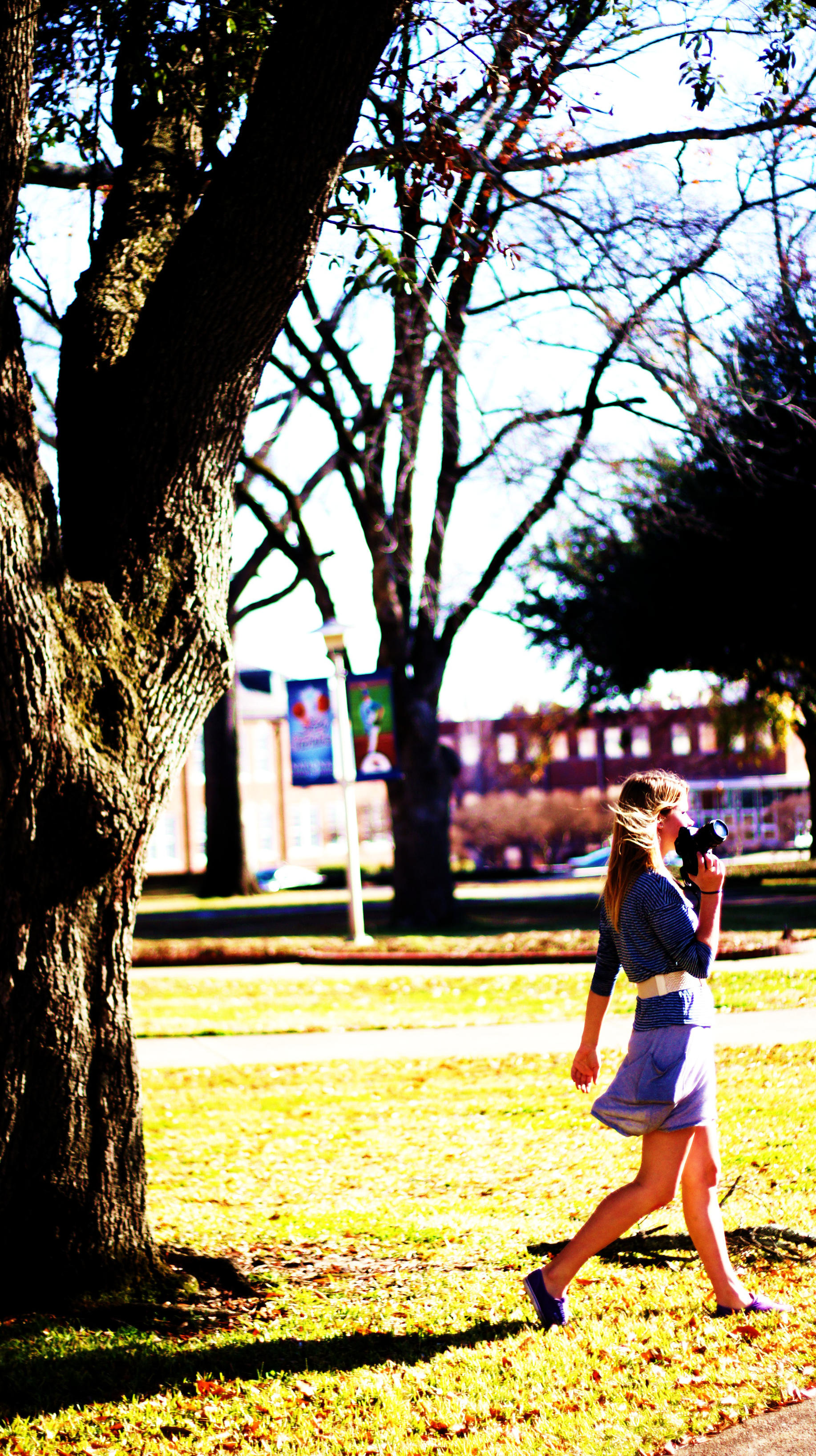 Whims of an Artist by F-StopPhotography