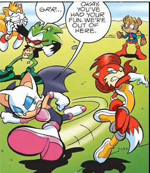 Fiona fights Rouge by FoxAffliction Fiona fights Rouge by FoxAffliction