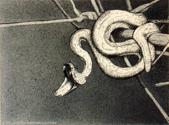 Snake in Tree by ckoffler