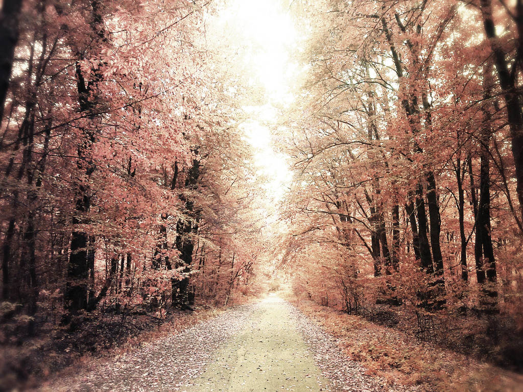 Life goes on by Ivoryia Life goes on by Ivoryia