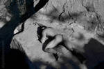 rock.02 by alejandrocaspe