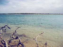 beach baby by musicmonopoly