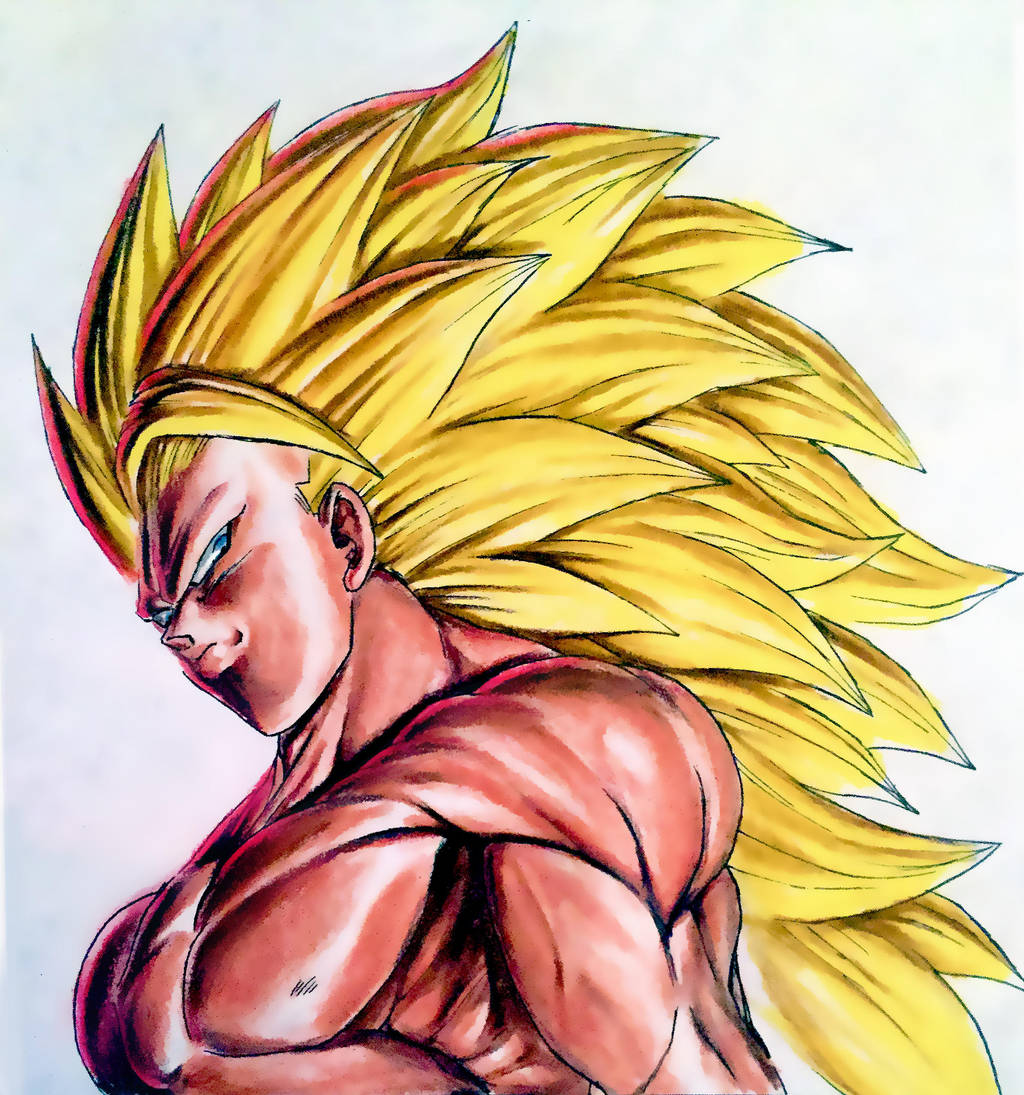Super Saiyan 3 Son Goku Shirtless by NovaSayajinGoku on DeviantArt