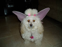 need a lift? by AllIveGot