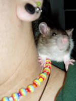 hanging around by AllIveGot