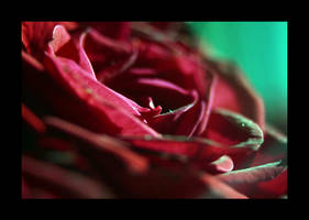 Green Light by Lethiel