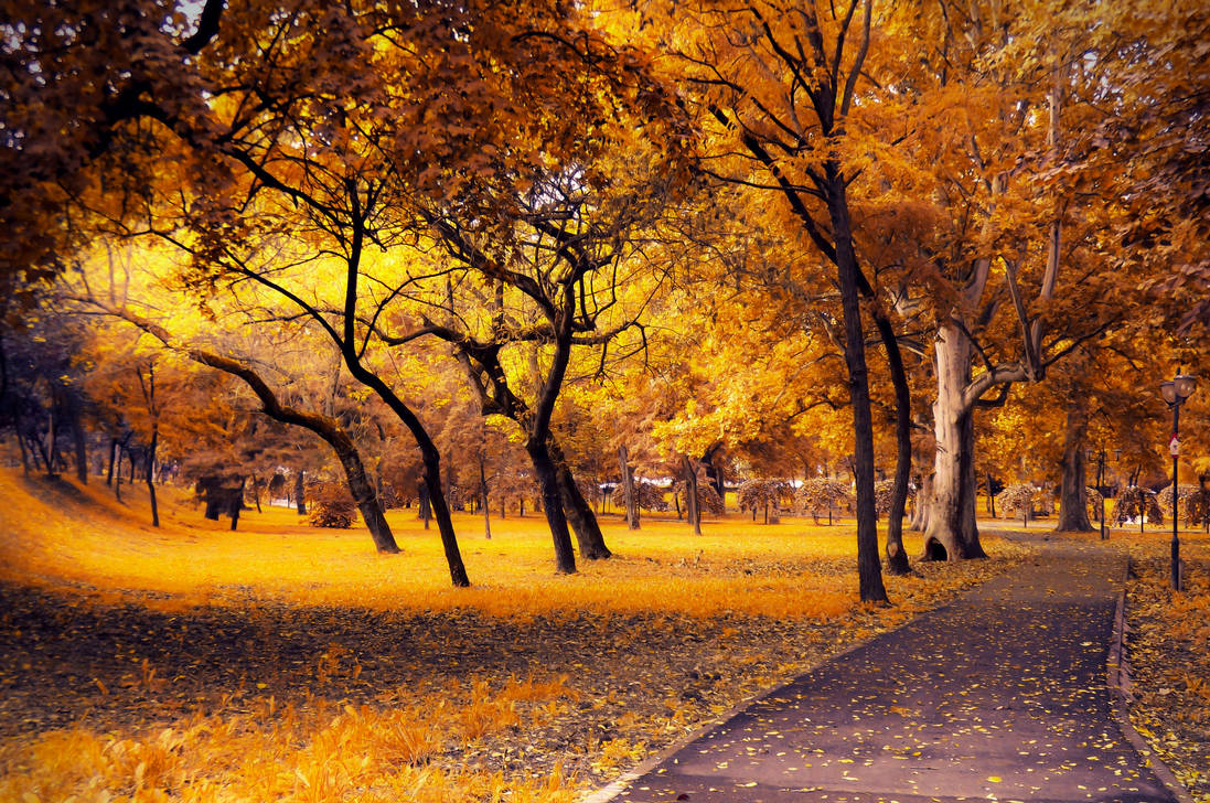 What's meant to be will always find it's way by AutumnIulia What's meant to be will always find it's way by AutumnIulia