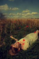 Coquelicots. by decorposee