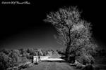 Partridge Creek Bridge IR by rjcarroll