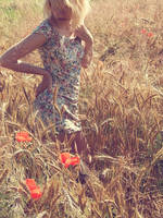 018 by pawelkolankowski