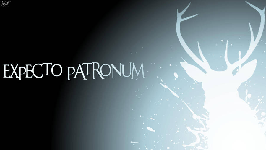 Harry Potter Wallpaper Expecto Patronum Stag By Theladyavatar Harry Potter Wallpaper Expecto Patronum Stag By Theladyavatar