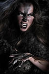 Werewolf by michellemonique