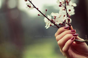 No need to say goodbye by 6eternity9