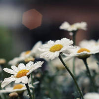 Abandon by 6eternity9