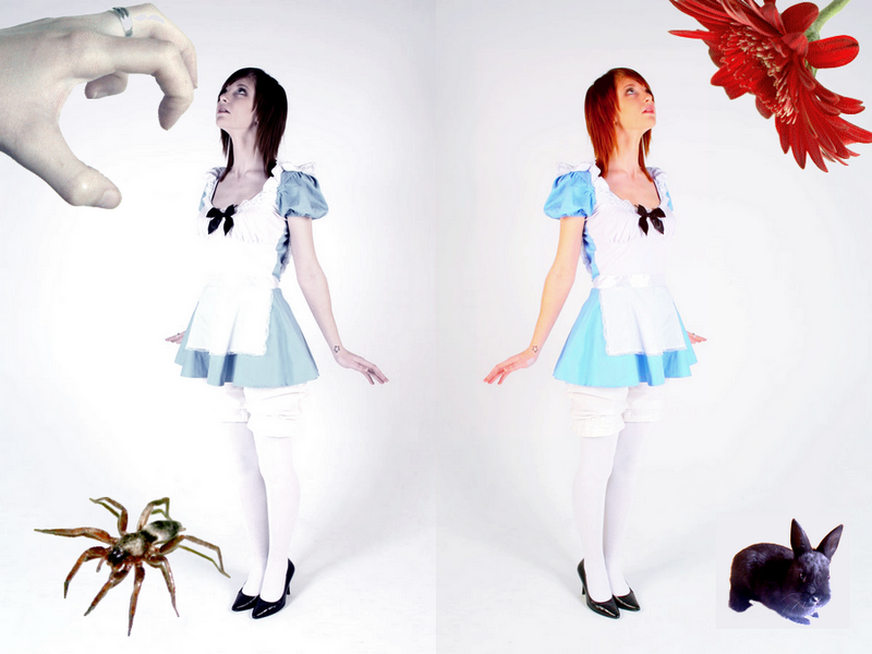 Alice in Whichland? by who-is-druscilla