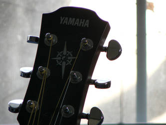 Guitar Head by Shawnie311