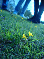 Skin and Bones by comeonblonde