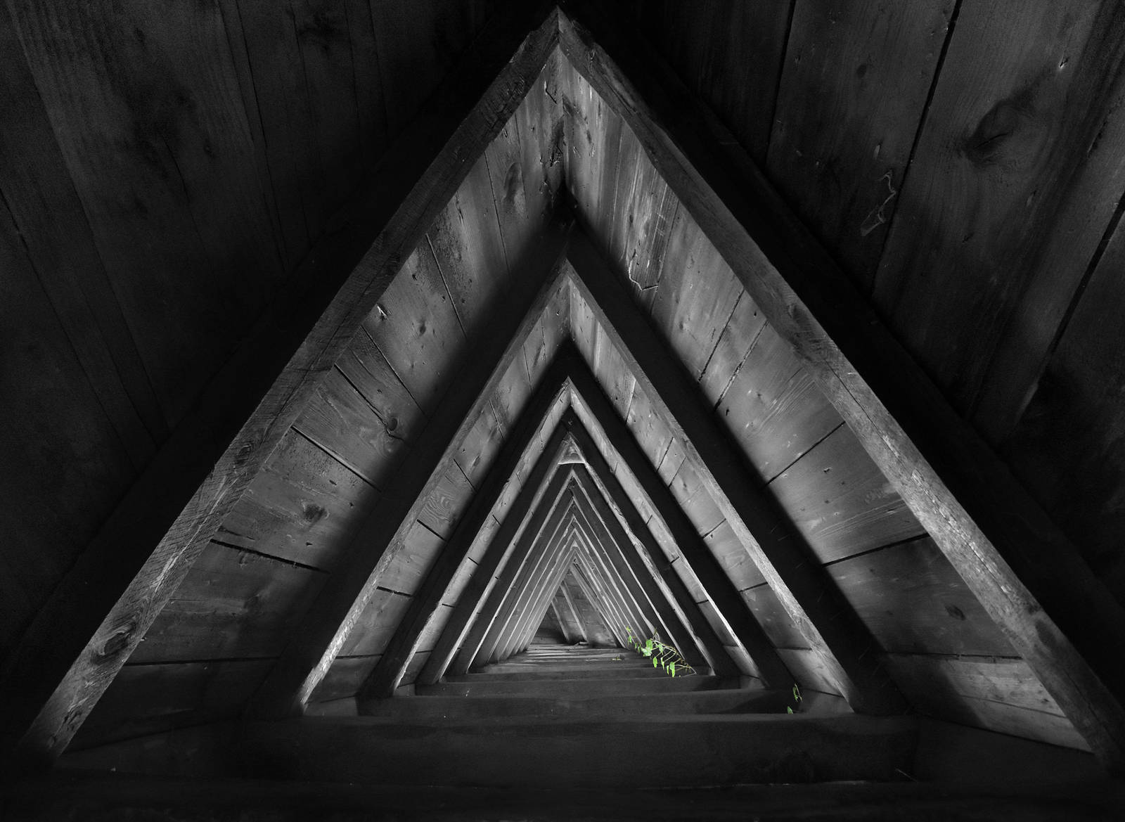 Anisotropy by endegor