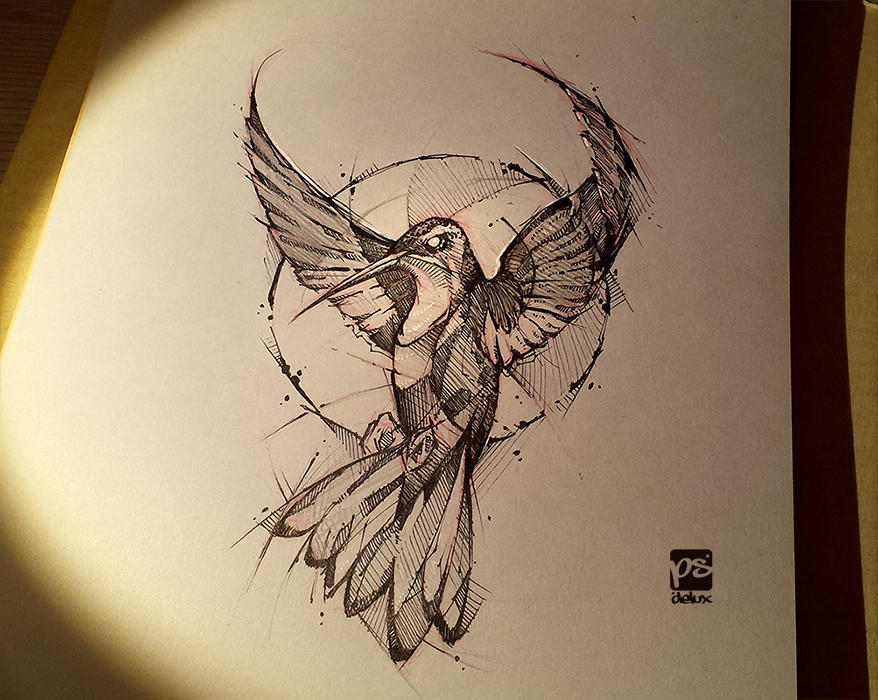 hummingbird sketch da psdelux