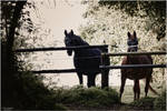 Horsemen by Frank-Beer