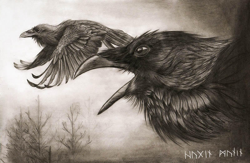 Hugin and Munin by Chickenzaur