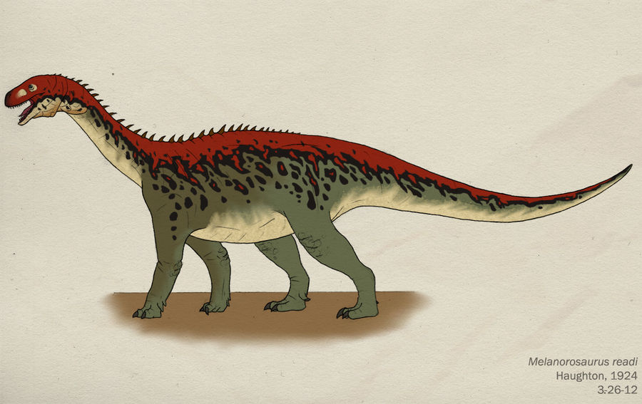 025--MELANOROSAURUS READI by Green-Mamba