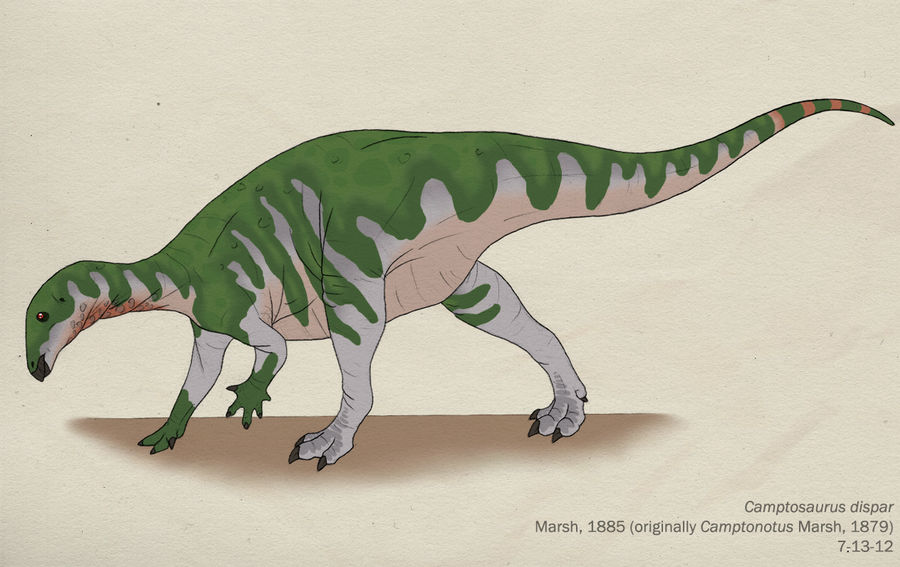 055--CAMPTOSAURUS DISPAR by Green-Mamba