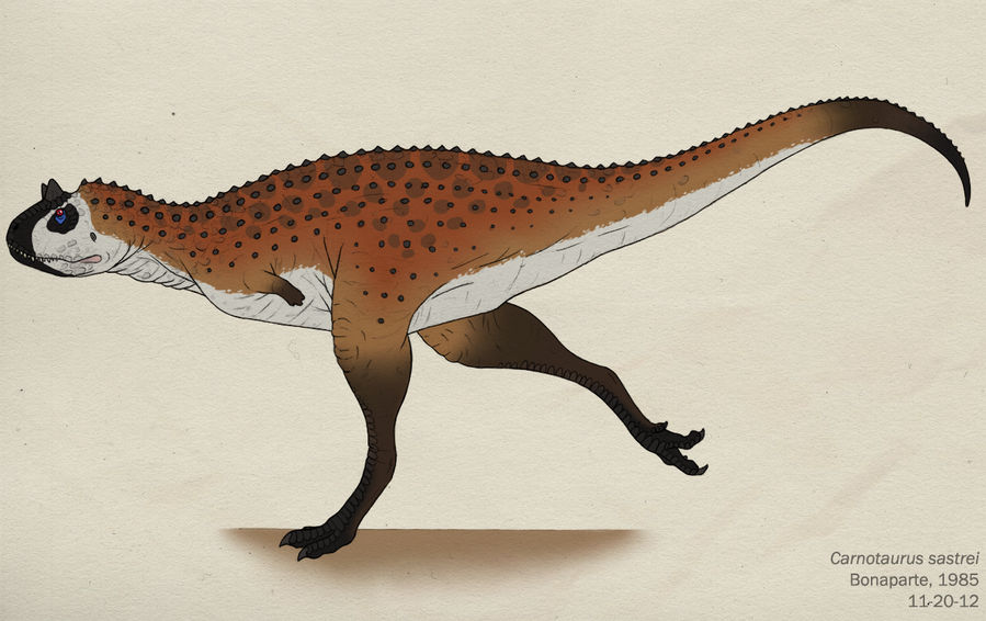 090--CARNOTAURUS SASTREI by Green-Mamba
