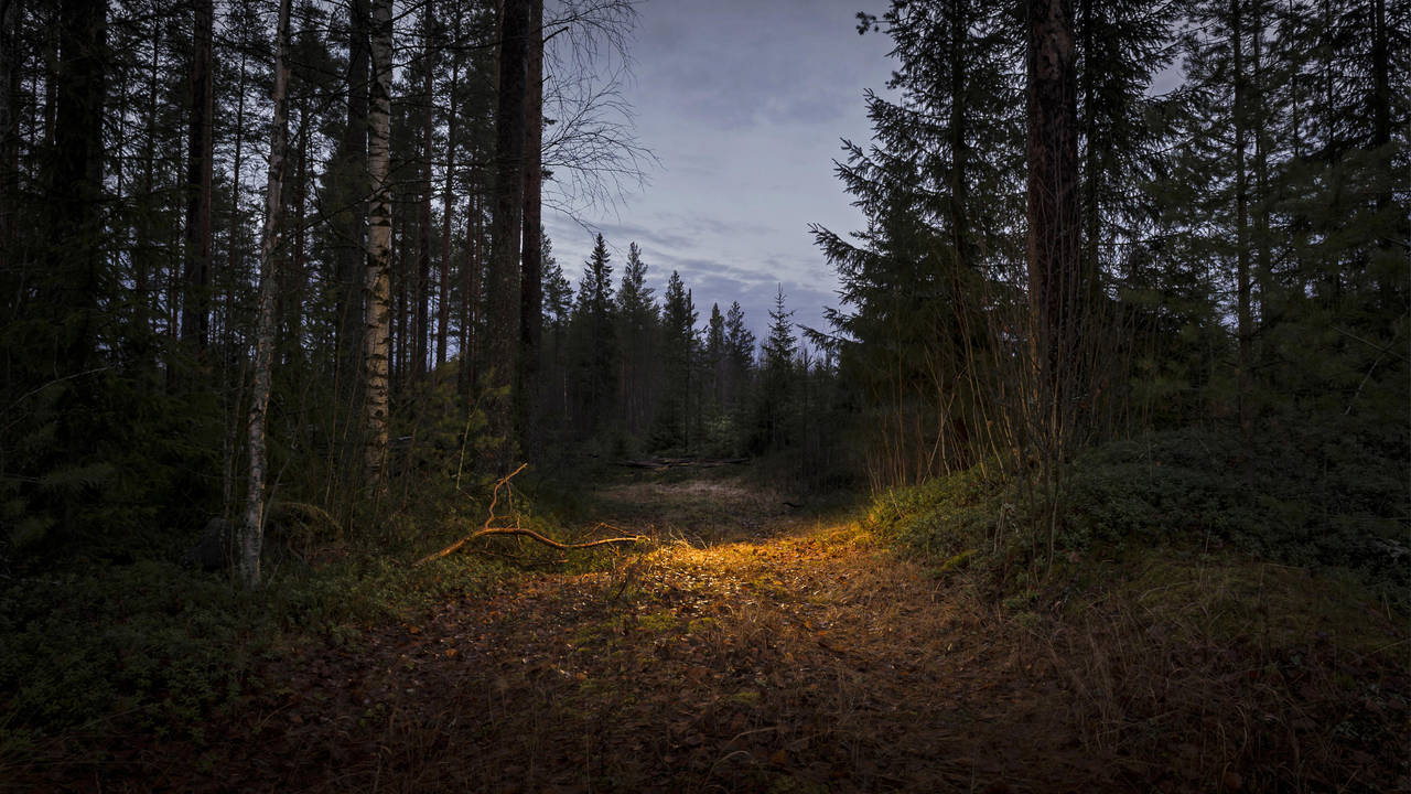 Lead Kindly Light by wchild
