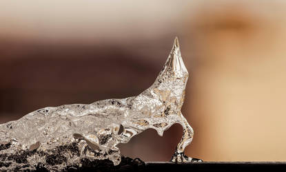 Ice Lizard by wchild