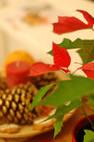 Xmas decoration 2 by Galaher