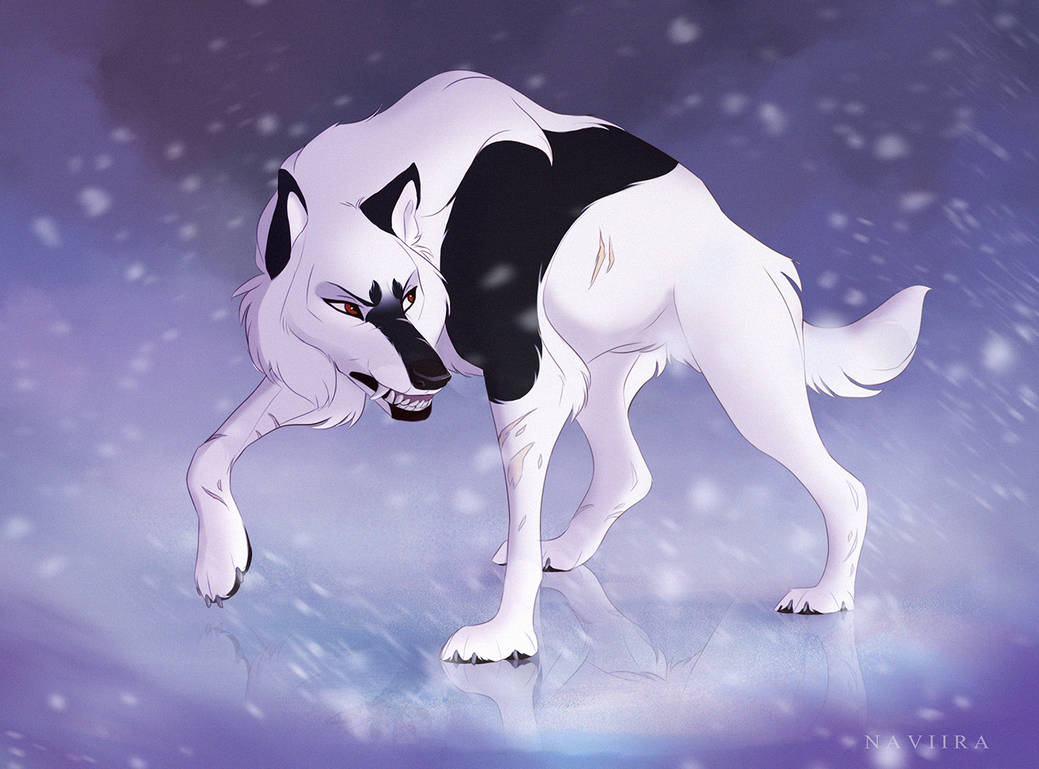 Winter Storm by Naviira