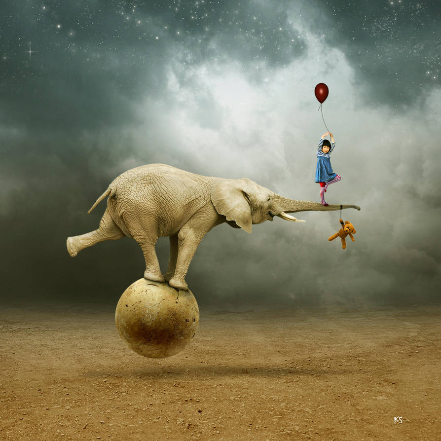 Elephant by Silvia15