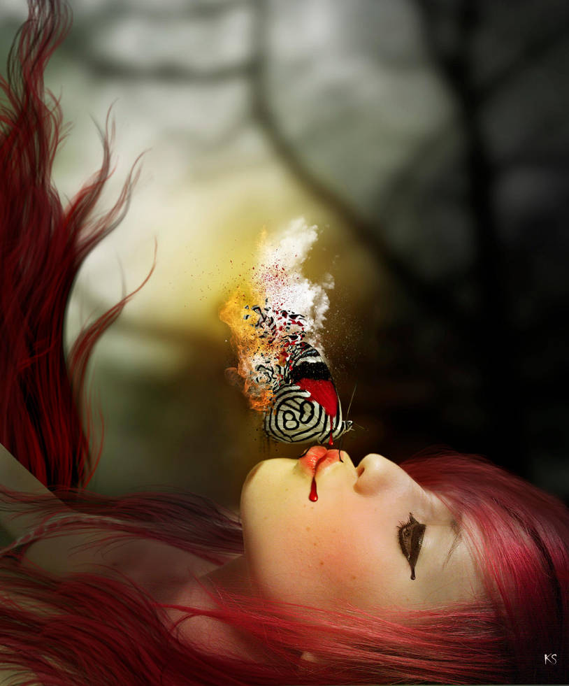 butterfly by Silvia15